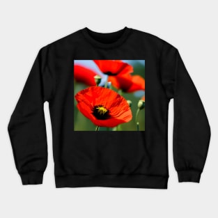 Close Up in a Field of Red Poppies (MD23Mrl009) Crewneck Sweatshirt